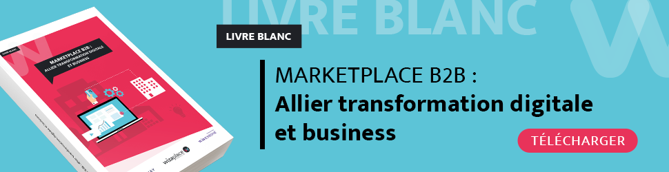 Marketplace B2B : comment allier transformation digitale et business